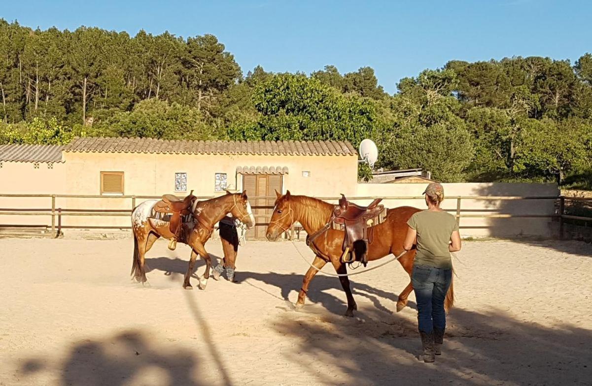 Hotel Finca Caballo Blanco Montuiri  Zewnętrze zdjęcie
