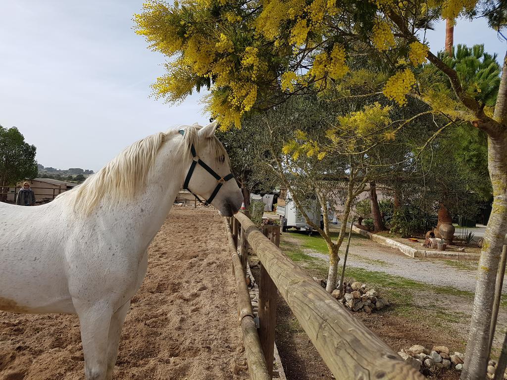 Hotel Finca Caballo Blanco Montuiri  Zewnętrze zdjęcie