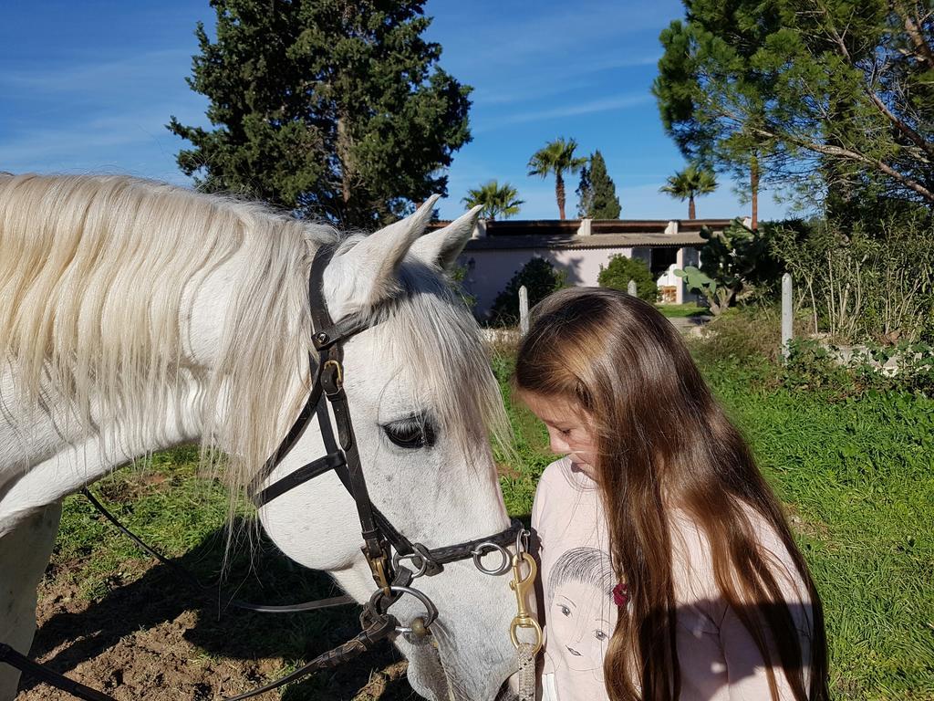 Hotel Finca Caballo Blanco Montuiri  Zewnętrze zdjęcie