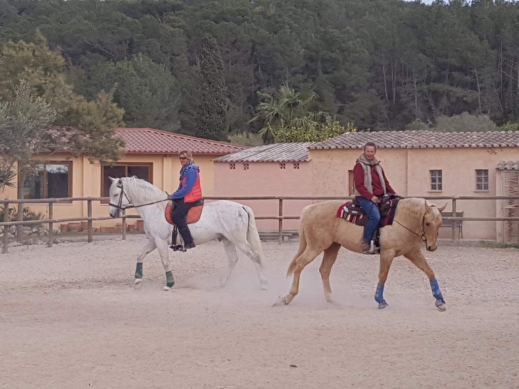 Hotel Finca Caballo Blanco Montuiri  Zewnętrze zdjęcie