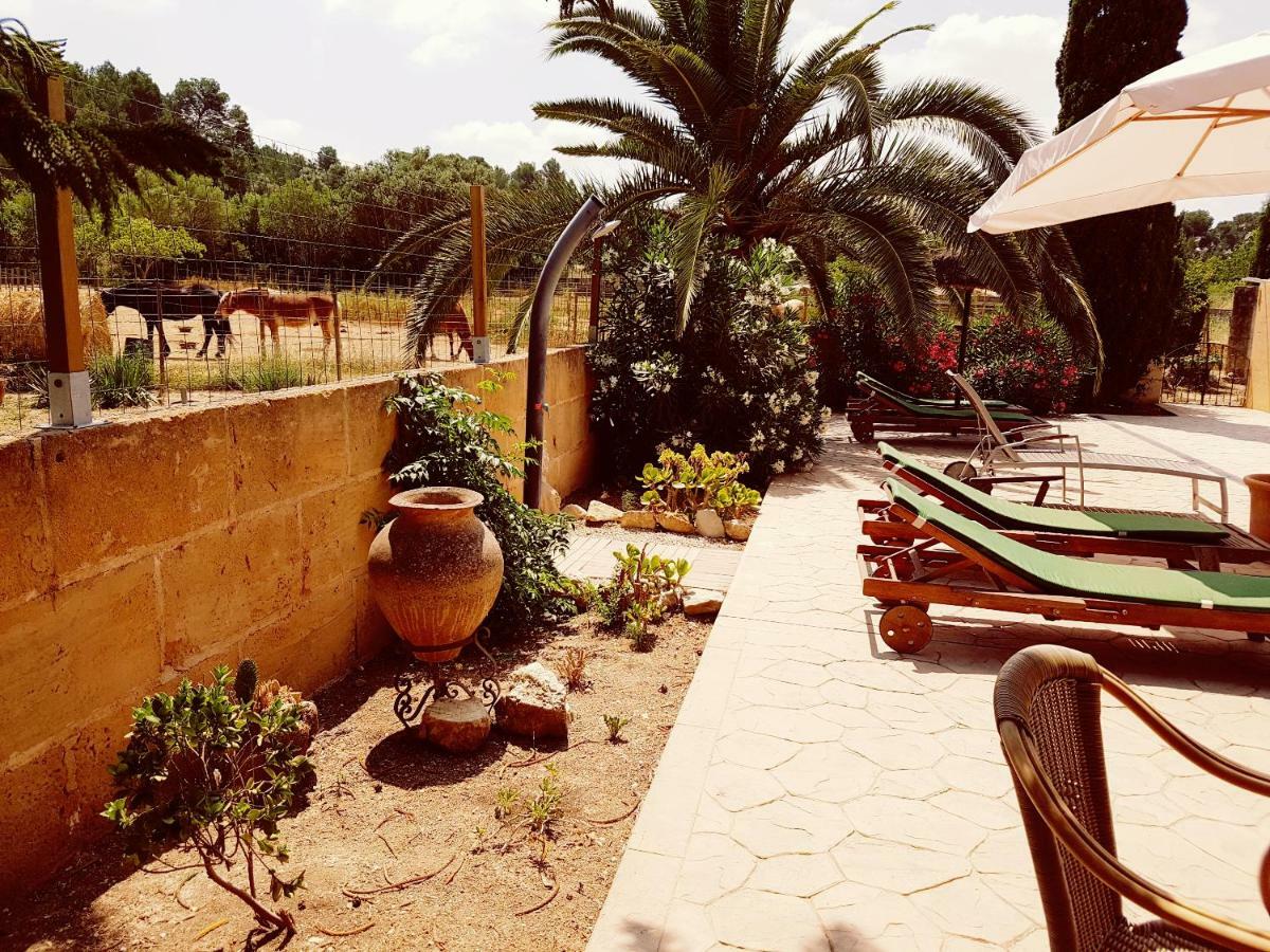 Hotel Finca Caballo Blanco Montuiri  Zewnętrze zdjęcie